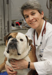 NICOLA J. MASON, BVetMed, PhD 