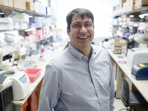 Jim Riley, PhD in the Lab