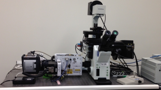 spinning disk confocal