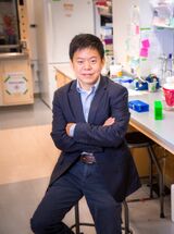 Peter Yingxiao Wang, PhD