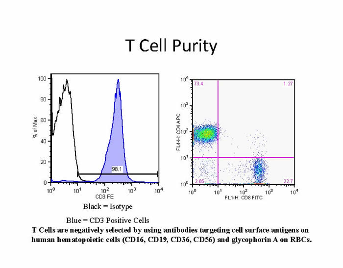 immunologyCore-1_Page_2