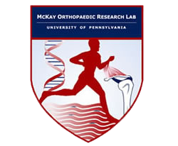 McKay Orthopaedic Research Laboratory