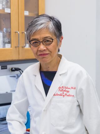 Virginia M.-Y. Lee, PhD