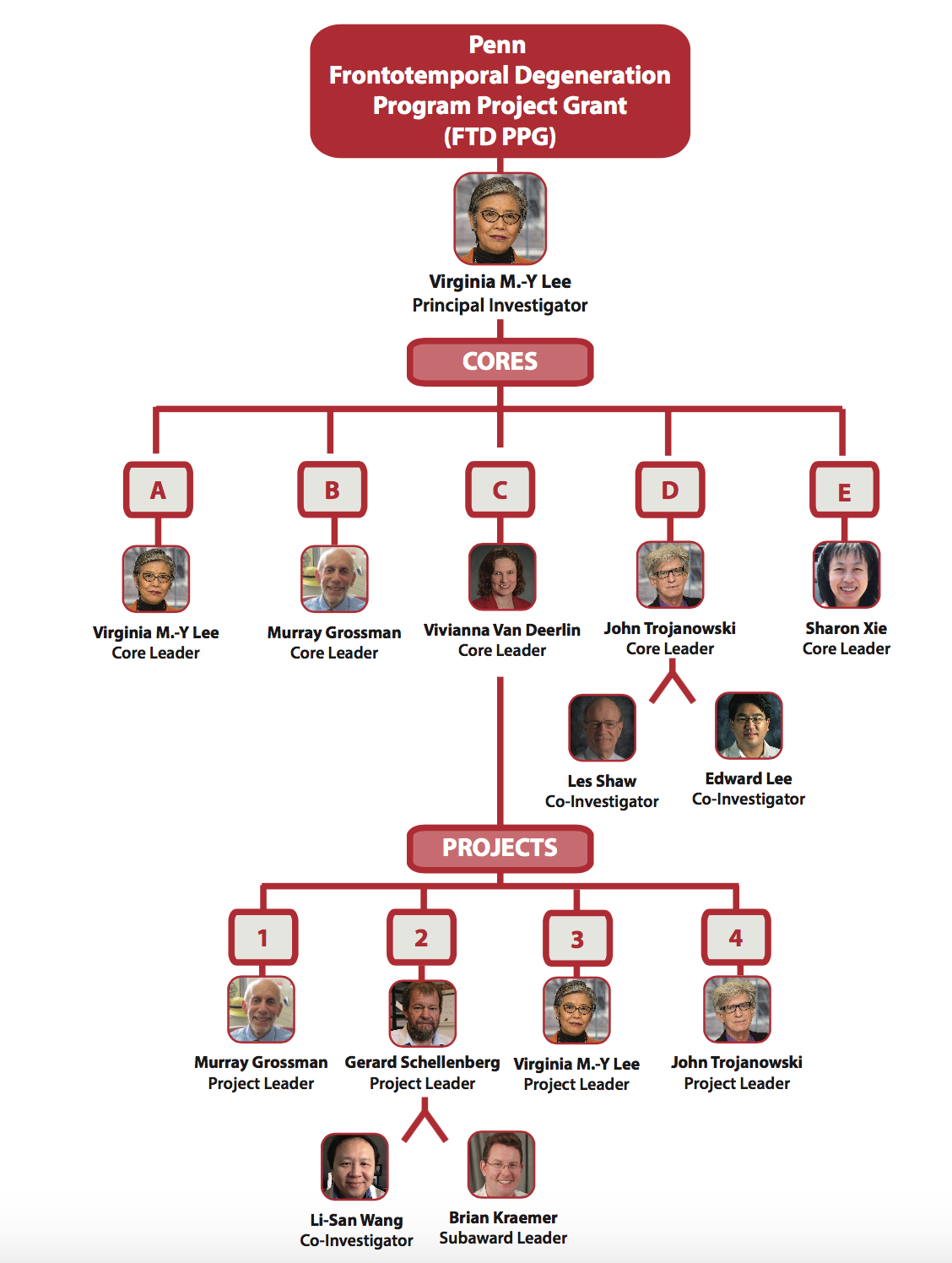 Upenn Org Chart