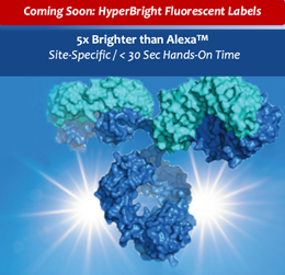 HyperBright Fluorescent