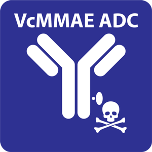 VcMMAE ADC rapid screening