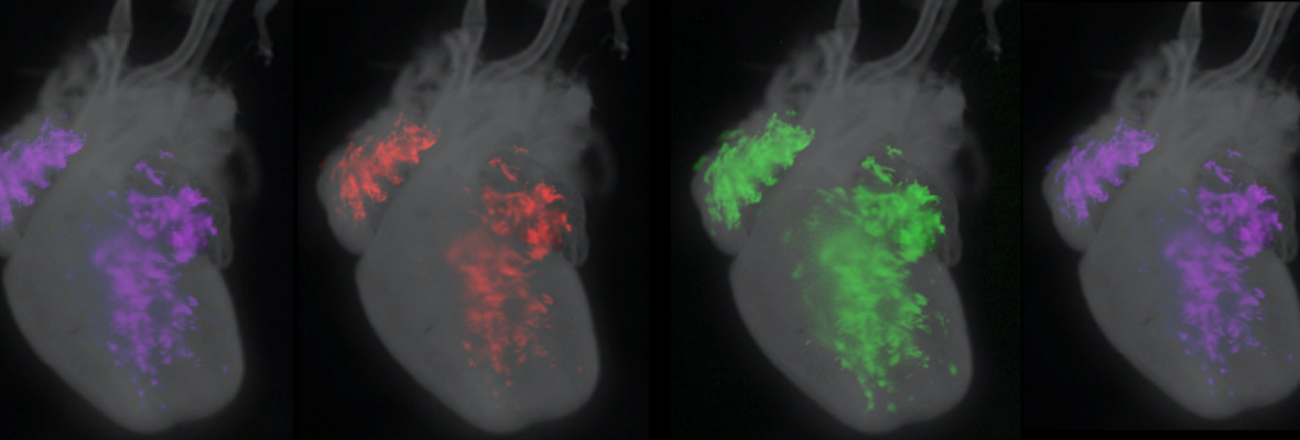 CVI Research