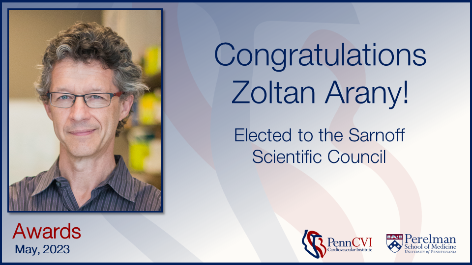 Zoltan Arany