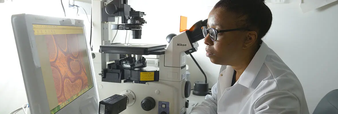 A researcher viewing imaging on a computer screen