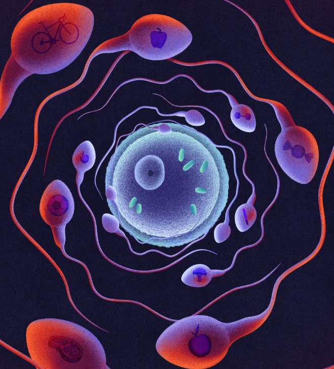 How Dad’s Fitness May Be Packaged and Passed Down in Sperm RNA