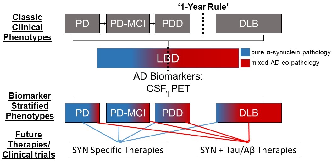 biomarker stratification