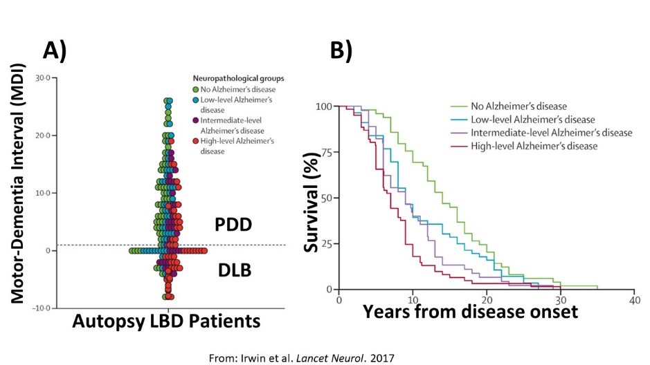 Clinical influence of AD co-pathology in LBD