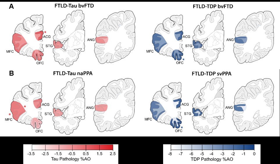 figure 3 update