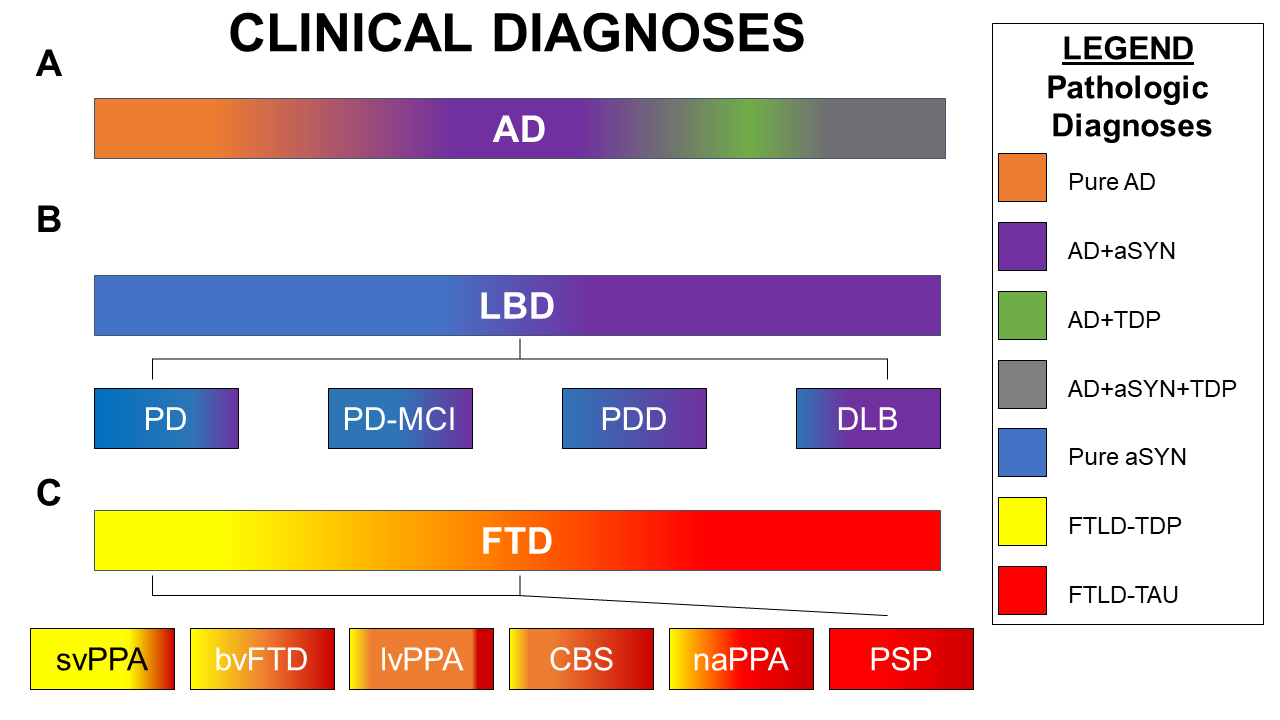 clinicopathological correlation