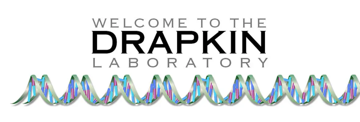 Welcome to the Drapkin Laboratory