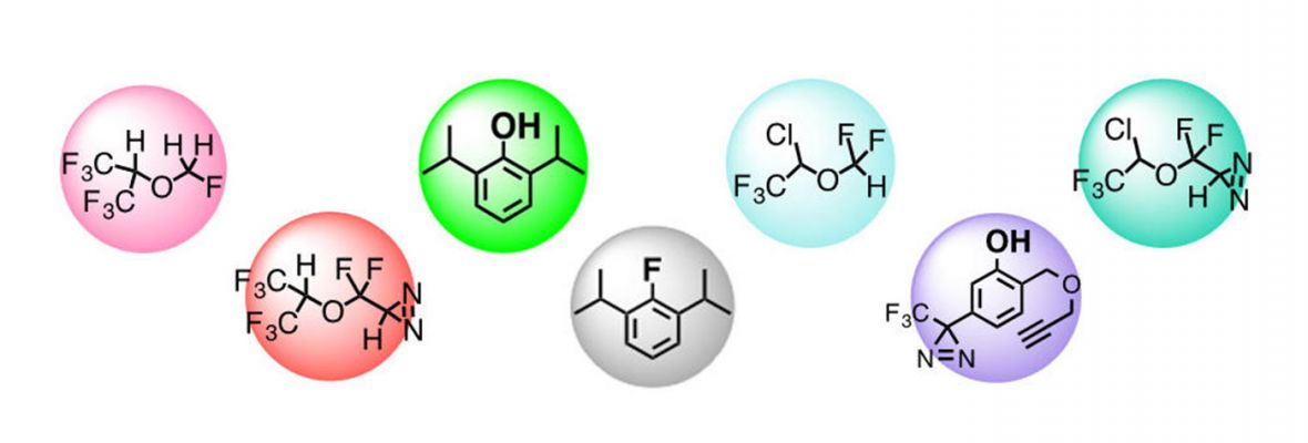 anesthetic compounds