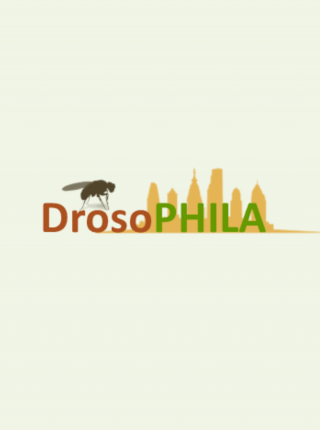 DrosoPHILA