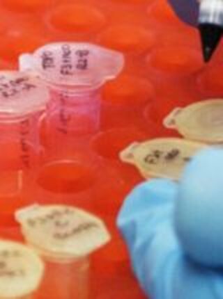 Office of Clinical Research (OCR)