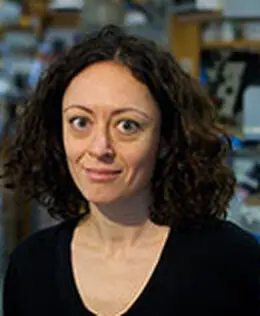 Emanuela Ricciotti, PharmD, PhD