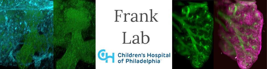 Frank Lab