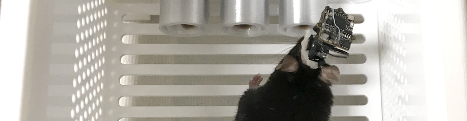 Header Image