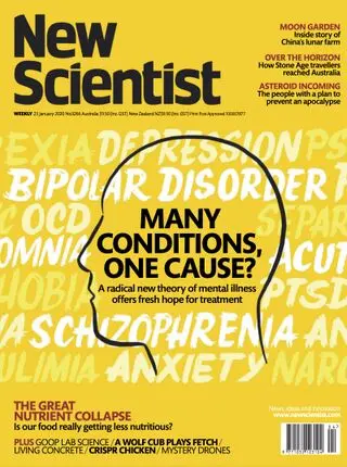 New Scientist interview, 2020