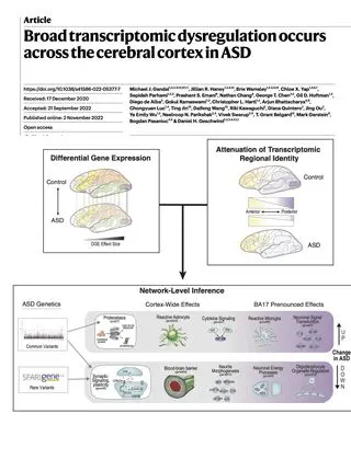 Gandal, Haney, Wamsley et al., Nature 2022