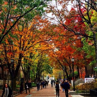 Locust Walk on the UPenn campus