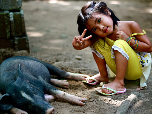 Little girl and Pig in Philippines 2016