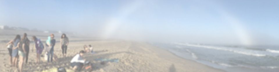 banner image