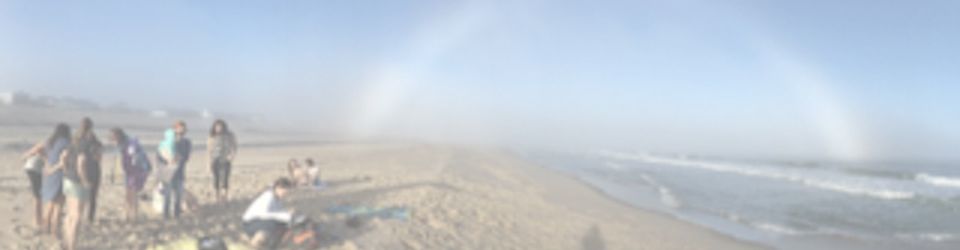 banner image