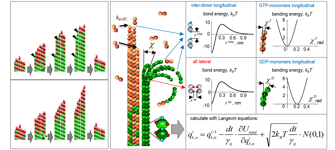 Atomic Scale