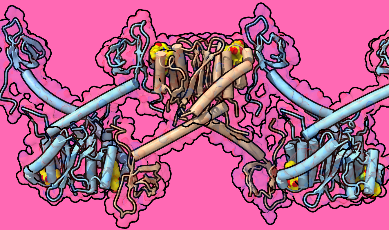 HIV-1 Integrase Branched Polymers