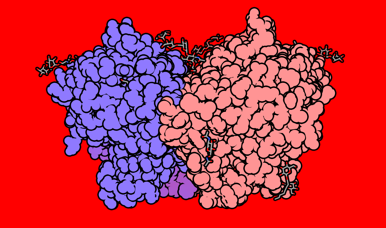 Prostaglandin H2 Synthase-1