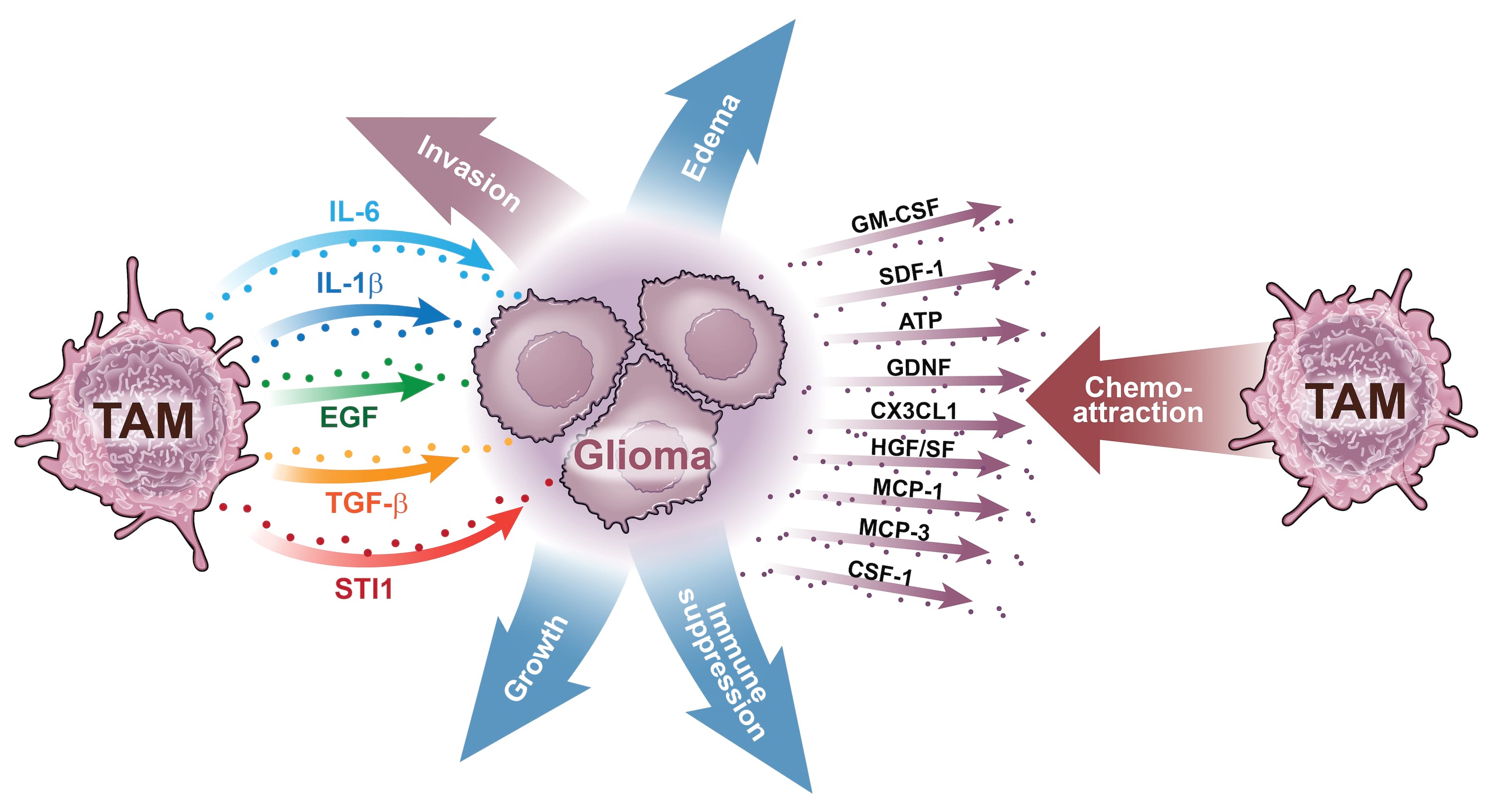 Image is Fig. 2 referenced in paragraph above.