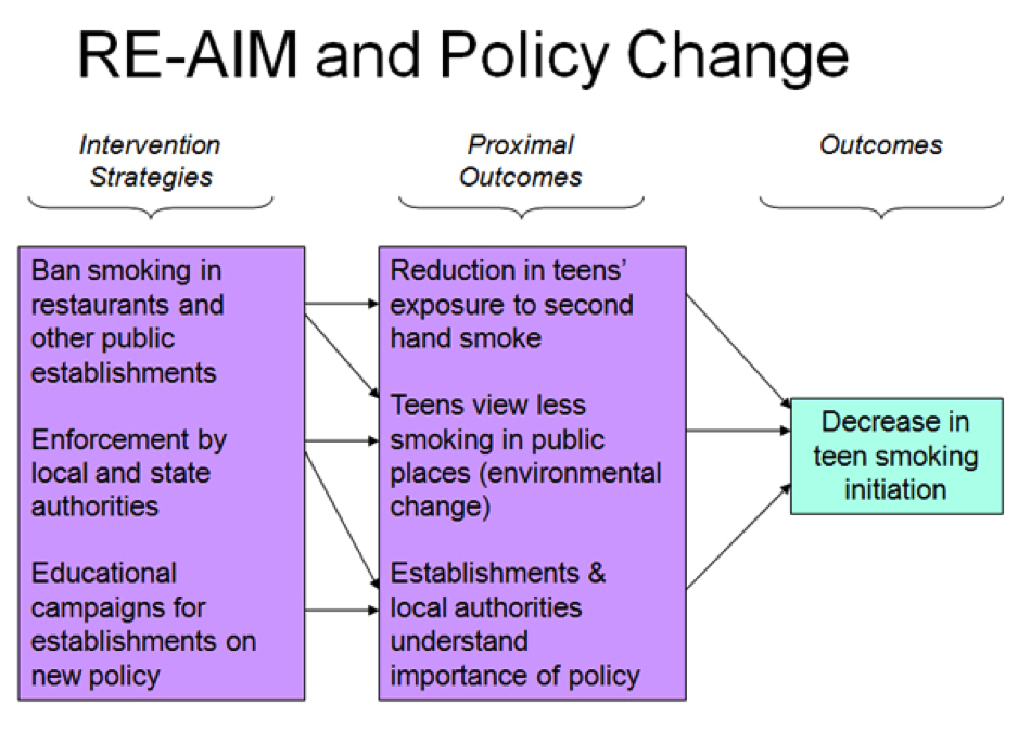 RE-AIM and Policy Change