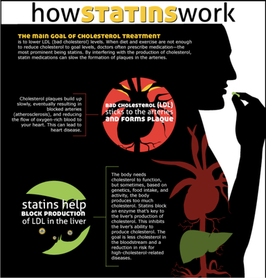 Statins help to lower cholesterol by blocking the body's production of bad cholesterol