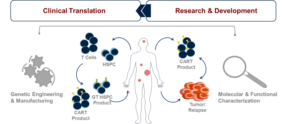 Diagram of our work process, read the description below