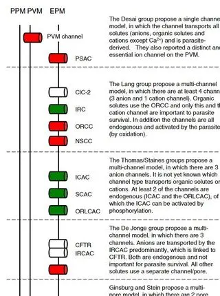 Electrophysiological studies of malaria parasite-infected erythrocytes: current status