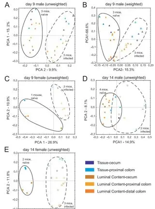Community-wide response of the gut microbiota to enteropathogenic Citrobacter rodentium infection revealed by deep sequencing