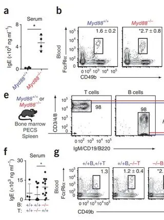 Commensal bacteria-derived signals regulate basophil hematopoiesis and allergic inflammation