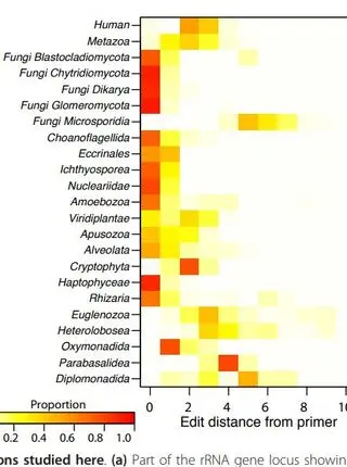 A tool kit for quantifying eukaryotic rRNA gene sequences from human microbiome samples