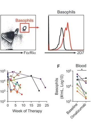 Omalizumab therapy is associated with reduced circulating basophil populations in asthmatic children