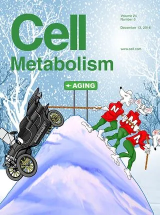 Physiological Suppression of Lipotoxic Liver Damage by Complementary Actions of HDAC3 and SCAP/SREBP