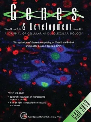 PPARγ is a nexus controlling alternative activation of macrophages via glutamine metabolism