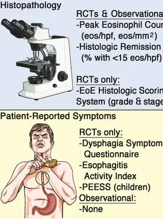 The importance of using core outcome measures during therapeutic studies of eosinophilic esophagitis