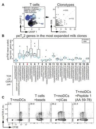 A molecular basis for milk allergen immune recognition in eosinophilic esophagitis