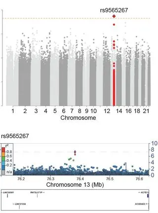 Unsupervised Modeling and Genome-Wide Association Identify Novel Features of Allergic March Trajectories