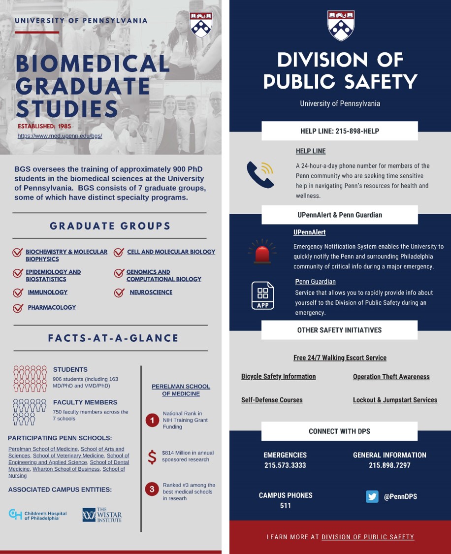 BGS safety infographic