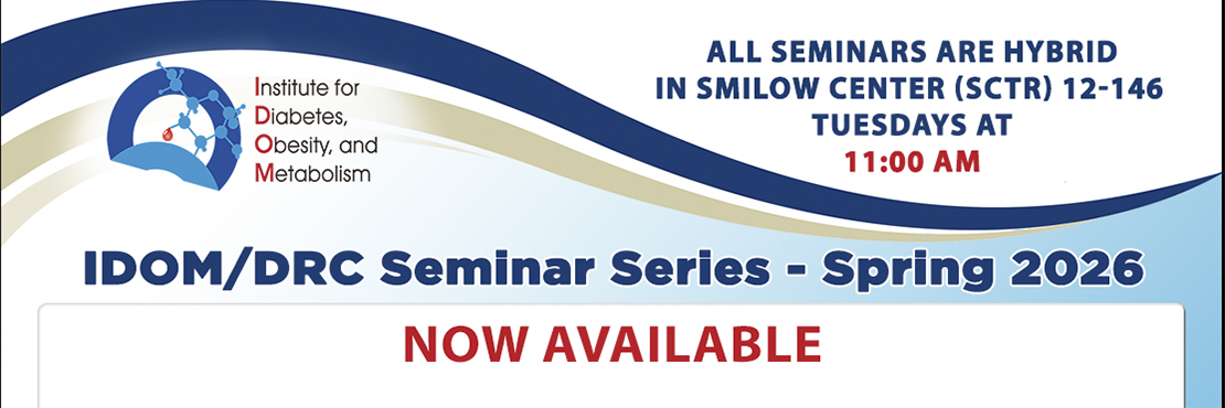 Spring 2026 IDOM/DRC Seminar Series